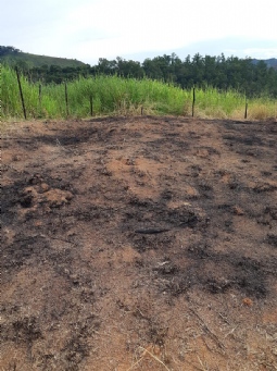 Foto de destaque Lote