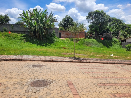 Foto de destaque Lote