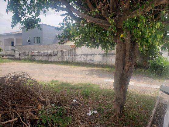 Foto de destaque Lote